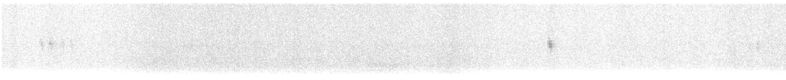 Lavandera Blanca - ML645132706