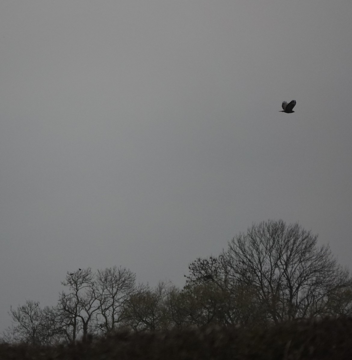 Buse variable - ML645132708