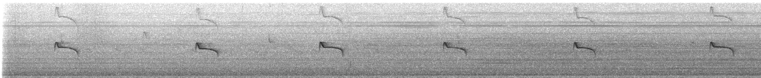 Black Phoebe - ML645133298