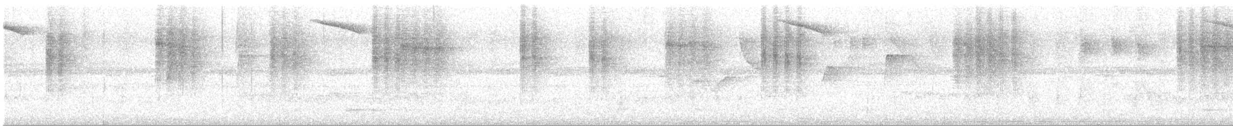 Star-throated Antwren - ML645134811