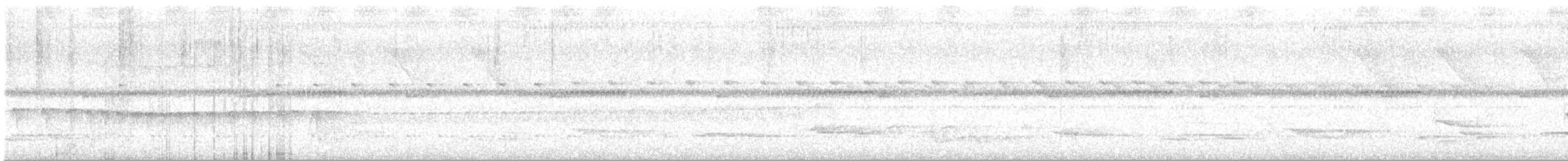 White-necked Thrush - ML645134942