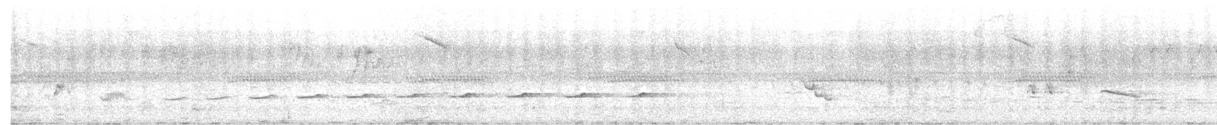 Striped Cuckoo - ML645135241