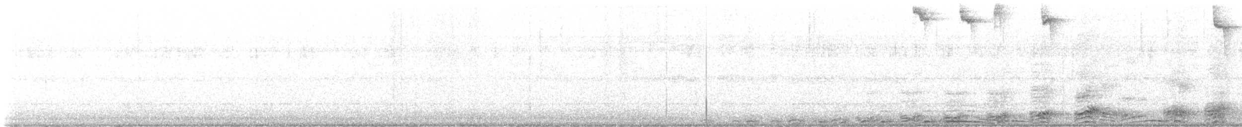 Barred Owl - ML645135569