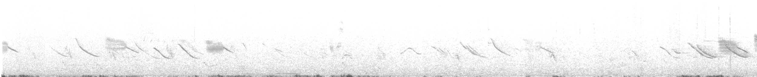 Black-winged Ground Dove - ML645136005