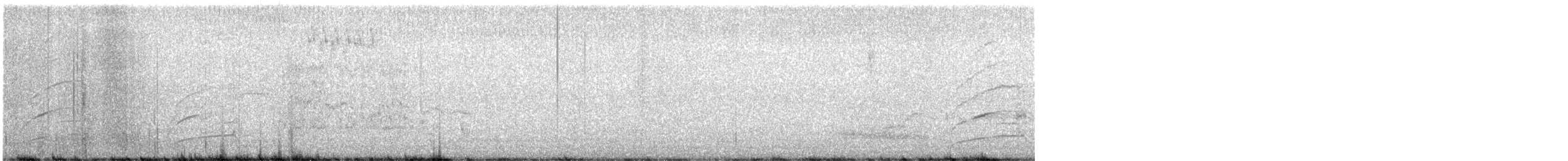 Smooth-billed Ani - ML645136372