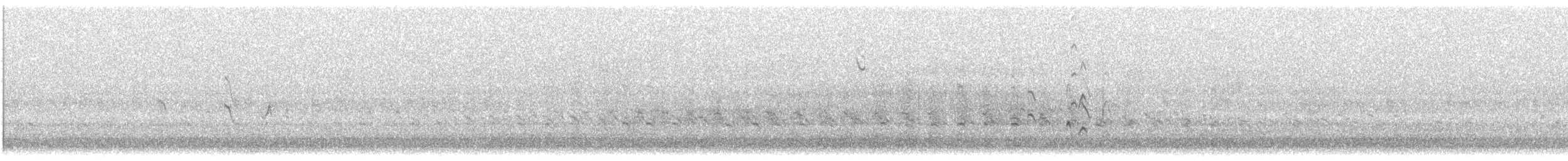 Black-bellied Whistling-Duck - ML645136733