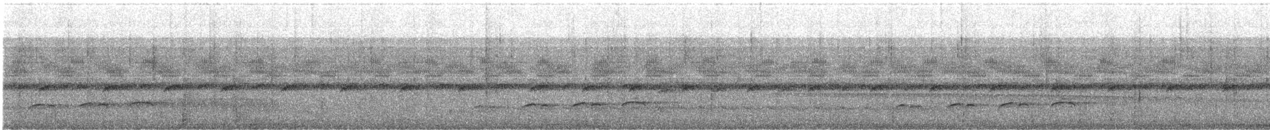 Bright-rumped Attila - ML645136785