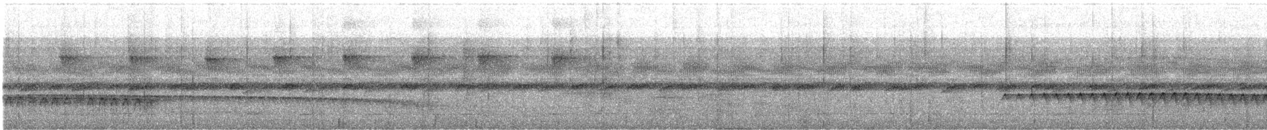 Weißstirn-Ameisenschnäpper - ML645136837