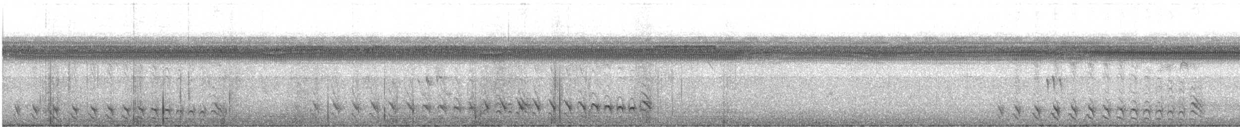 Bindenameisenwürger - ML645136986