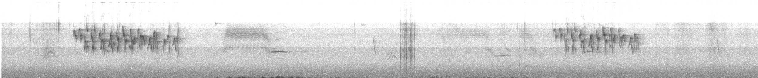 Schwarzkehl-Hakenschnabel - ML645137090