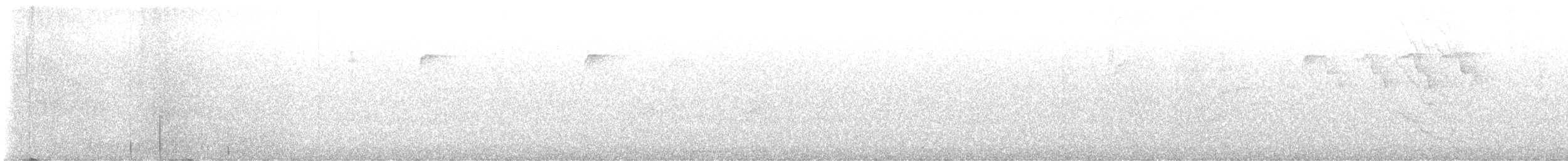 střízlík kanadský - ML645138437