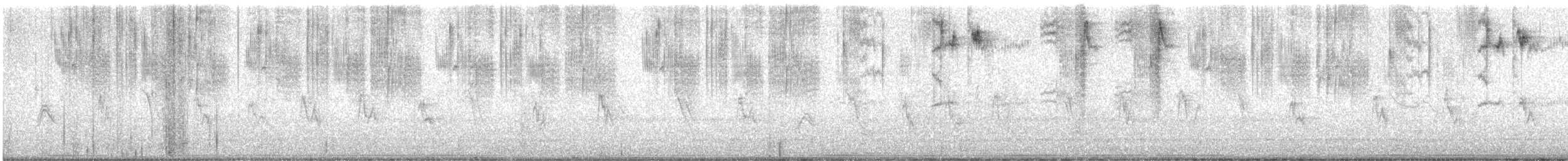 Anna's Hummingbird - ML645140226