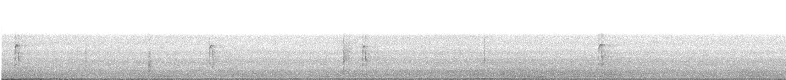 strakapoud americký - ML645140633