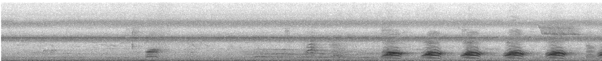 Large-billed Crow - ML645142414