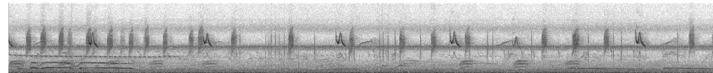 Plain Prinia - ML645142429