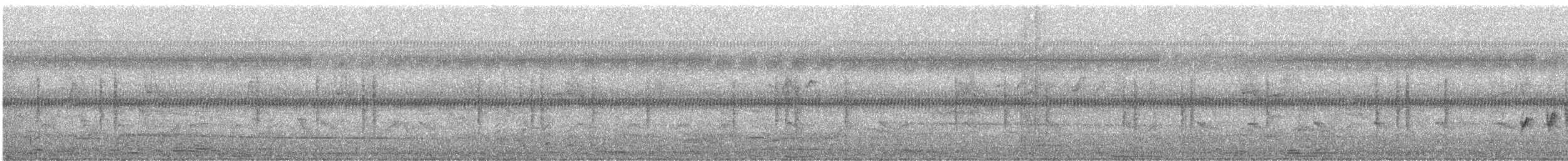 Blyth's Reed Warbler - ML645142522