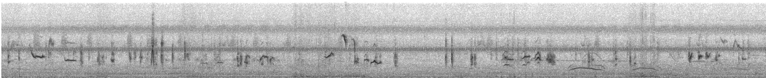 Blyth's Reed Warbler - ML645142579