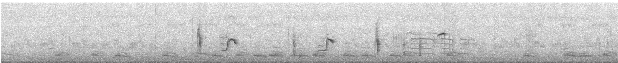 Blyth's Reed Warbler - ML645142629