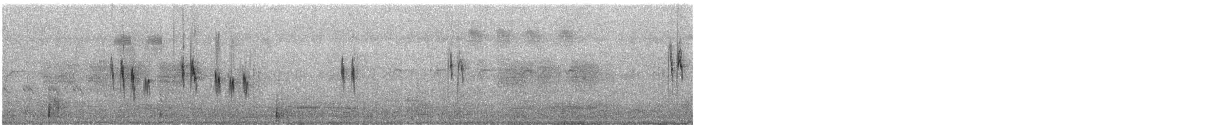 White Wagtail - ML645142672