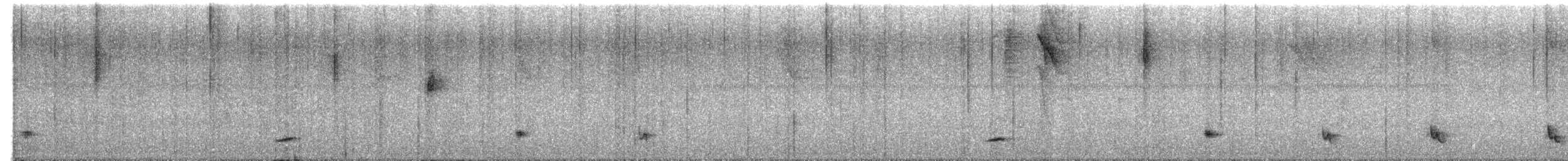 Cerquero Negrilistado - ML645143247