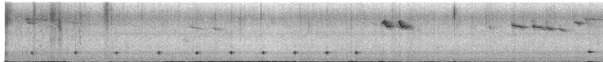 Cerquero Negrilistado - ML645143248