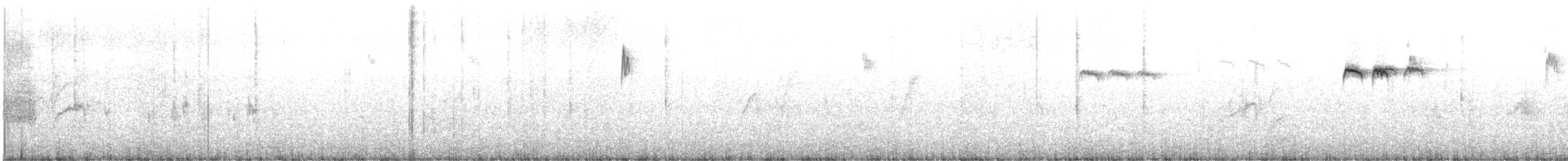 Mito Común - ML645143379