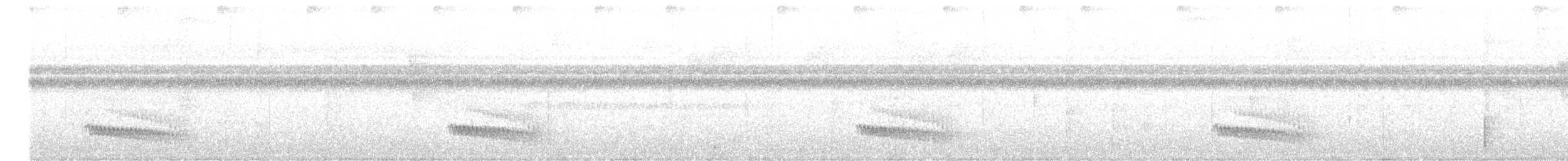 Hormiguero Alifranjeado (Norteño) - ML645144021