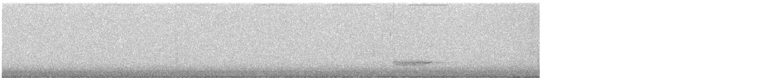 American Barn Owl - ML645144455