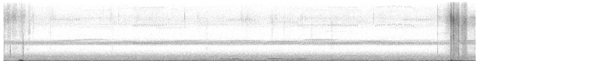 Búho Americano - ML645144493