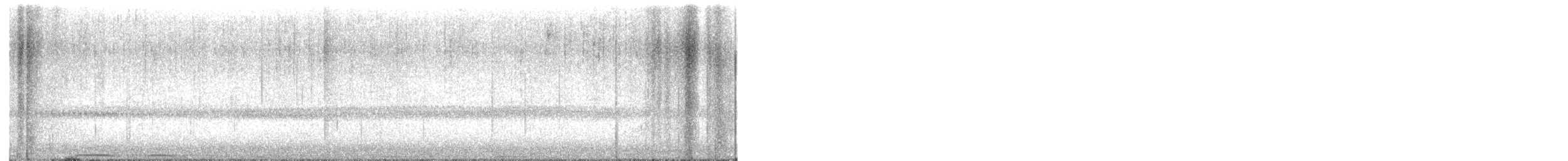 Búho Americano - ML645144494