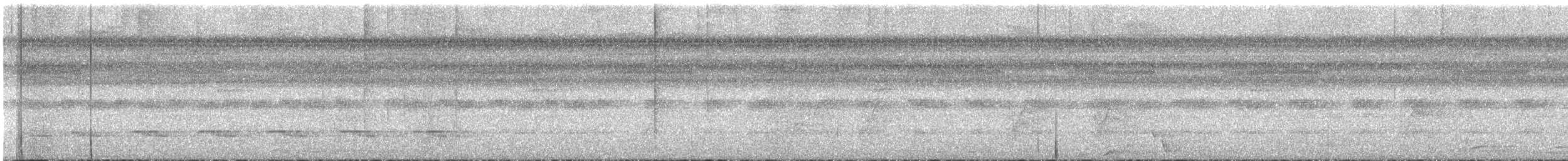 Hormiguero Hombroblanco - ML645144561