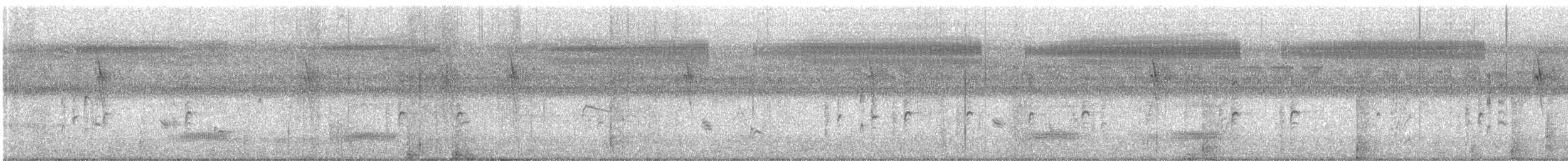 Capuchino Punteado - ML645144617