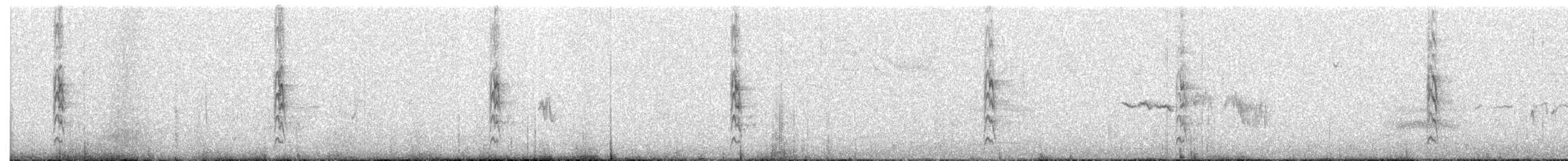 Toquí Pardo - ML645144634