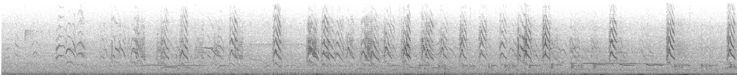 halsbåndparakitt - ML645145603