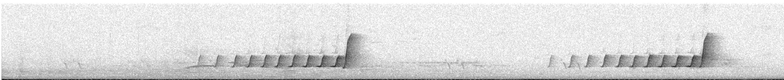 gullplystrer (fuliginosa/occidentalis) - ML645145816