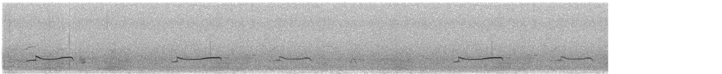 Chorlito Gris - ML645146031