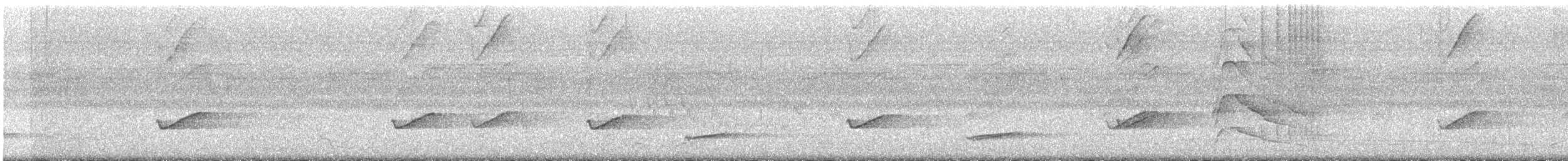 Orange-backed Troupial - ML645146179