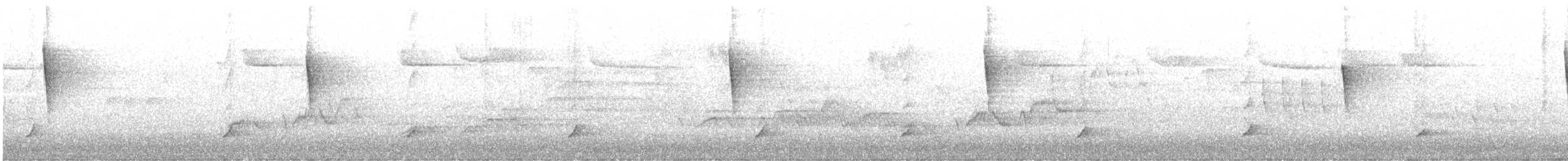 סבכון חכלילי - ML645146561