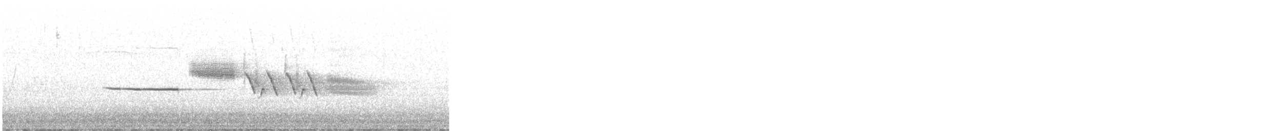 White-crowned Sparrow (Gambel's) - ML645147121