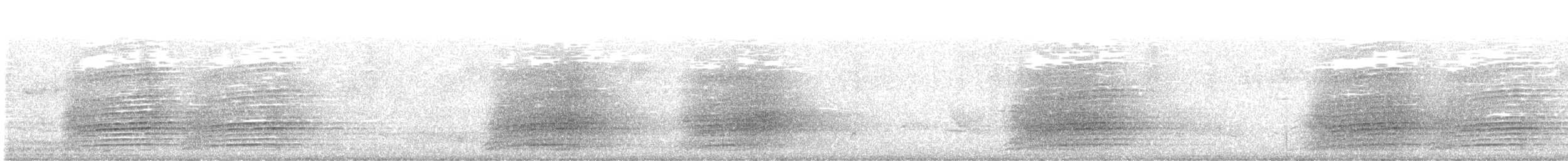 Sulphur-crested Cockatoo - ML645147140