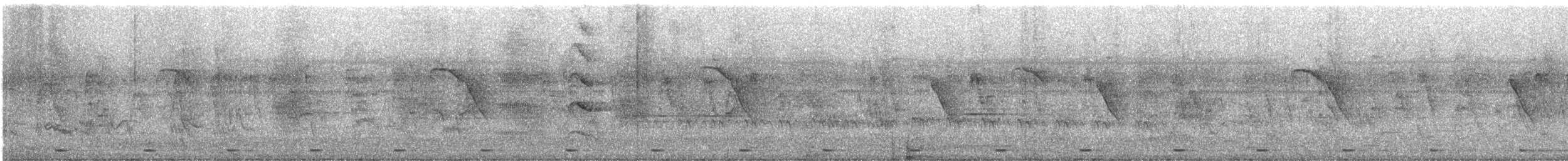 Coppersmith Barbet - ML645147329