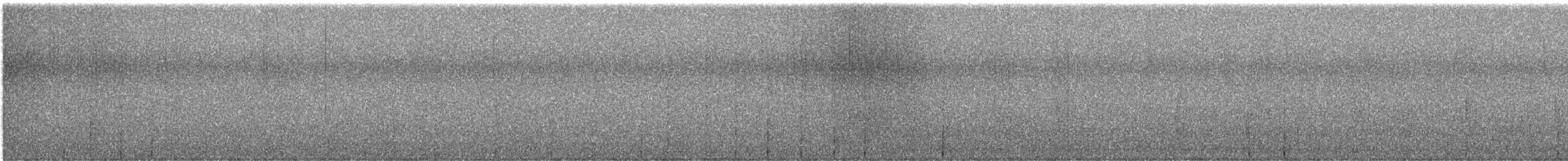 woodpecker sp. - ML645147401