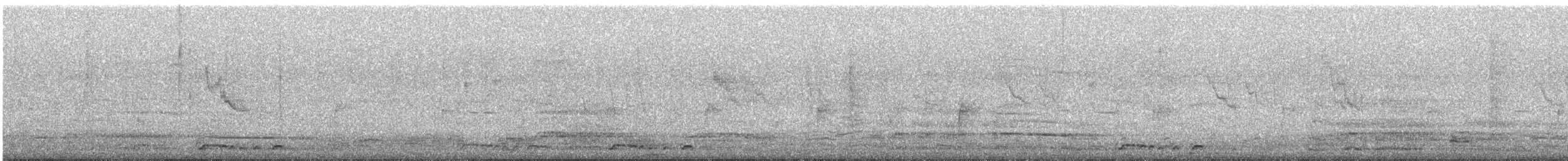 Zebra Dove - ML645147561