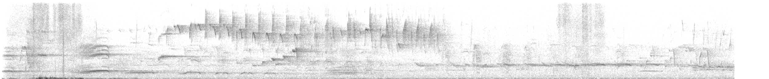 Channel-billed Cuckoo - ML645147929