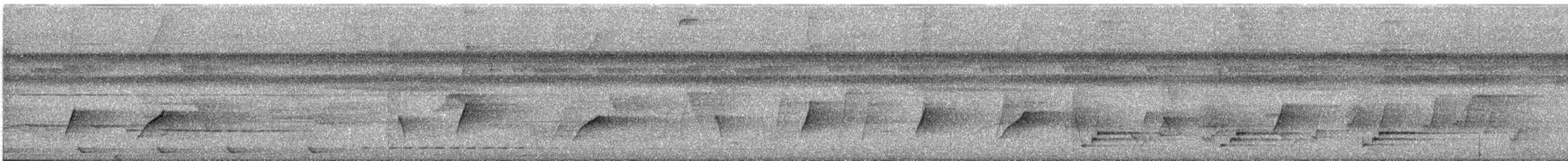 Horsfield's Babbler - ML645148020