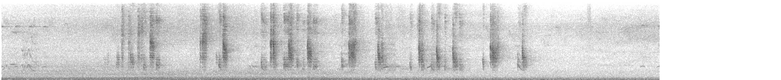 Stripe-backed Wren - ML645148641