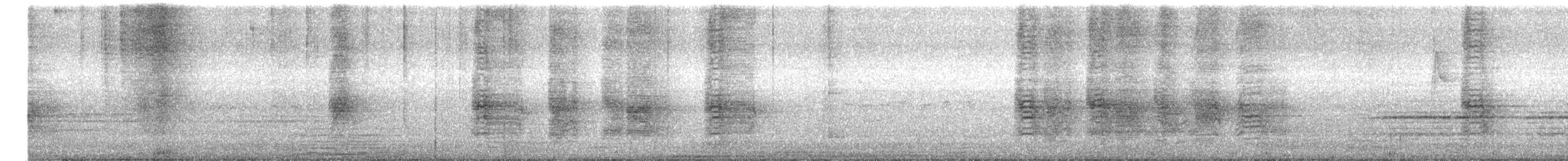 Black Drongo - ML645148948