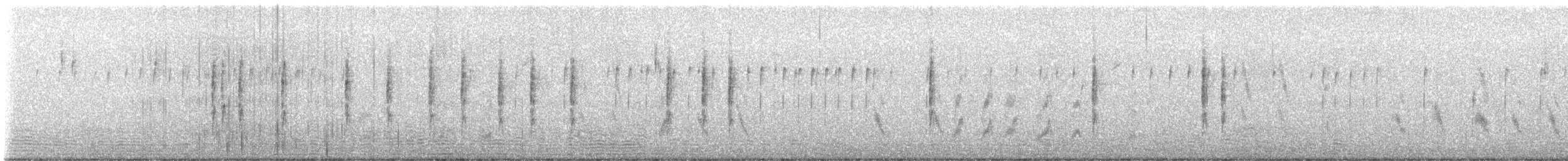 Bell's Sparrow - ML645149004