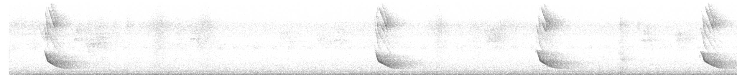 Black-hooded Oriole - ML645149047