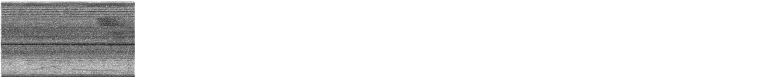 Papageischnabel-Grüntaube - ML645151131